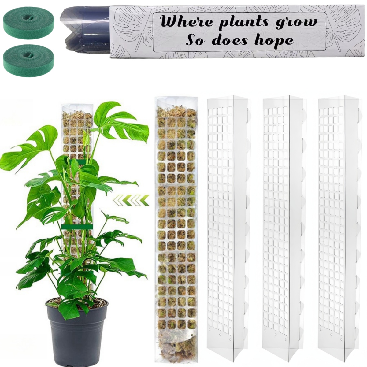 Plant Support Stake - MOSS POLE พลาสติกยืนในร่มพืชปีนเขา Guardian Tutors หม้อ