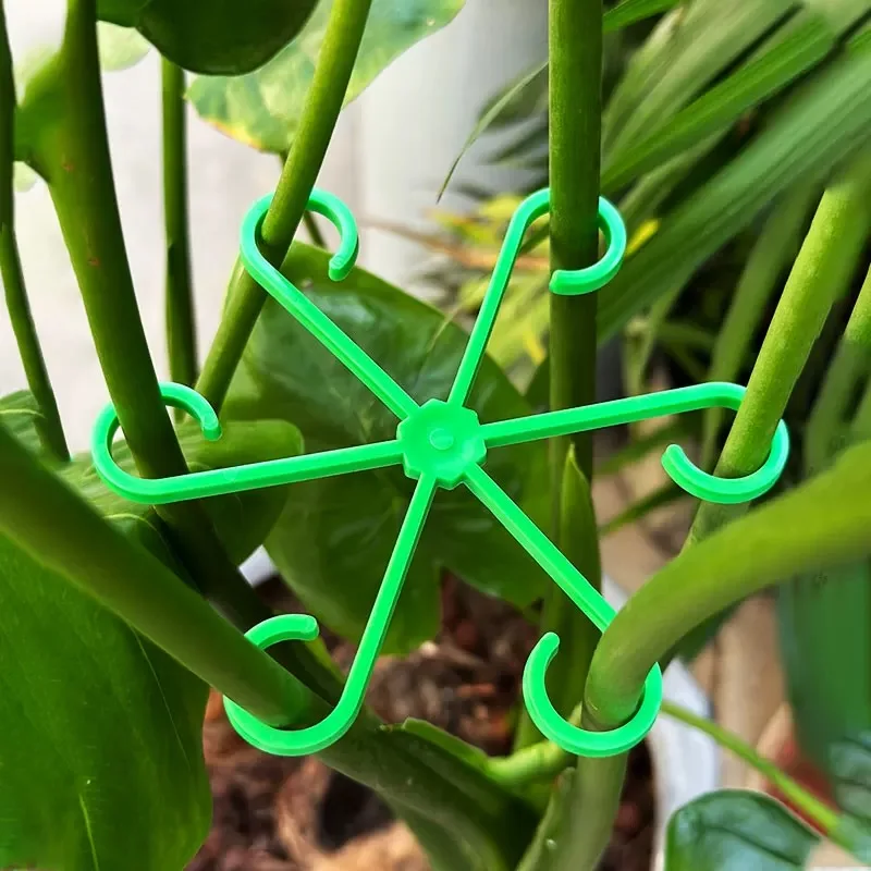 ดอกไม้StemสนับสนุนStakesปีนเขา - Plant Support Stake บทวิจารณ์และราคา