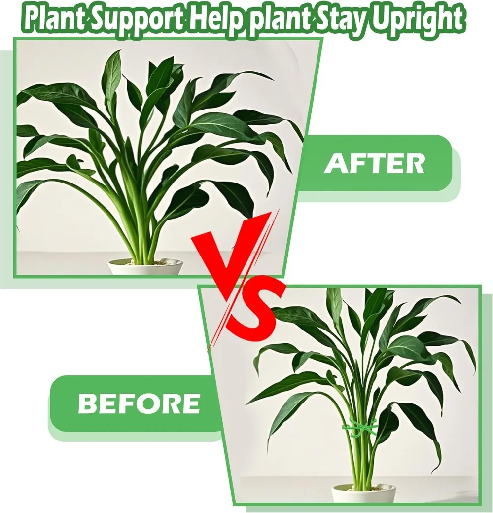 ดอกไม้StemสนับสนุนStakesปีนเขา - Plant Support Stake บทวิจารณ์และราคา