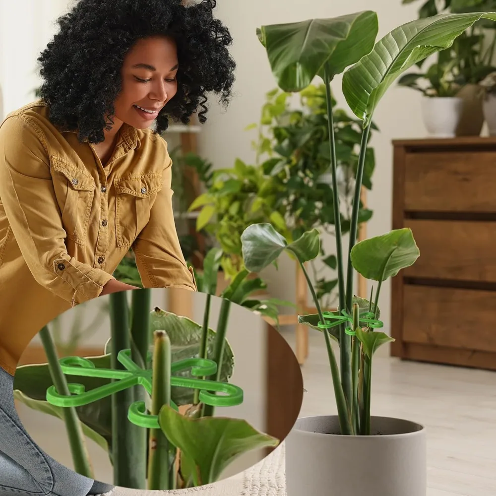 ดอกไม้StemสนับสนุนStakesปีนเขา - Plant Support Stake บทวิจารณ์และราคา