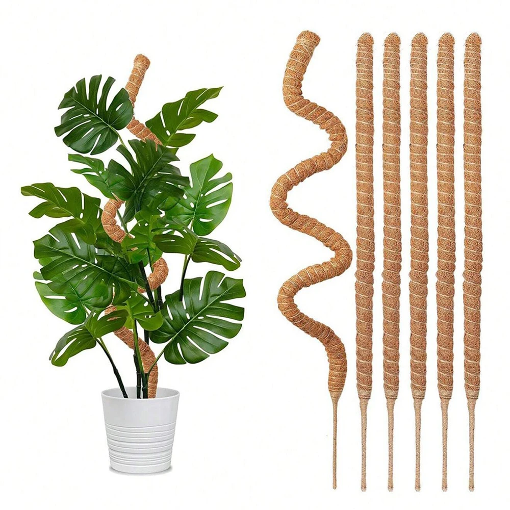 เสาไม้สนับสนุนต้นมอนสเตอร่า สำ - Plant Support Stake บทวิจารณ์และราคา