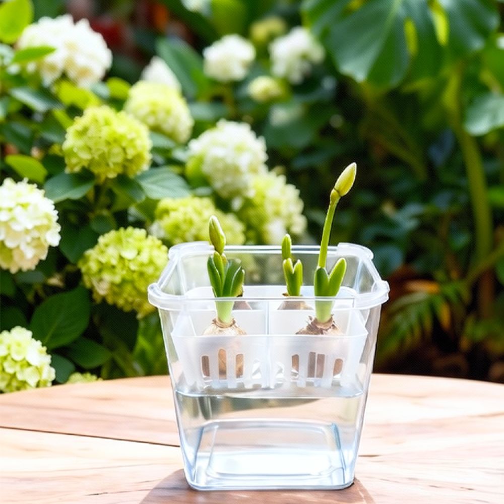 กระถางไฮโดรโปนิกส์สำหรับปลูกทิ - Indoor Plants บทวิจารณ์และราคา