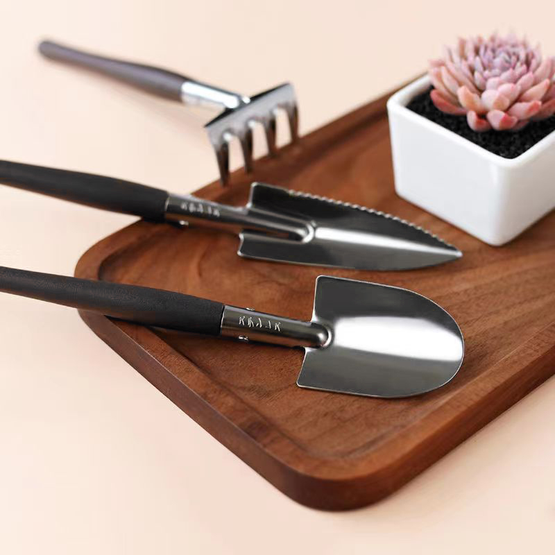 ชุดเครื่องมือทำสวน 3 ชิ้น/ชุด, - Succulent Set บทวิจารณ์และราคา