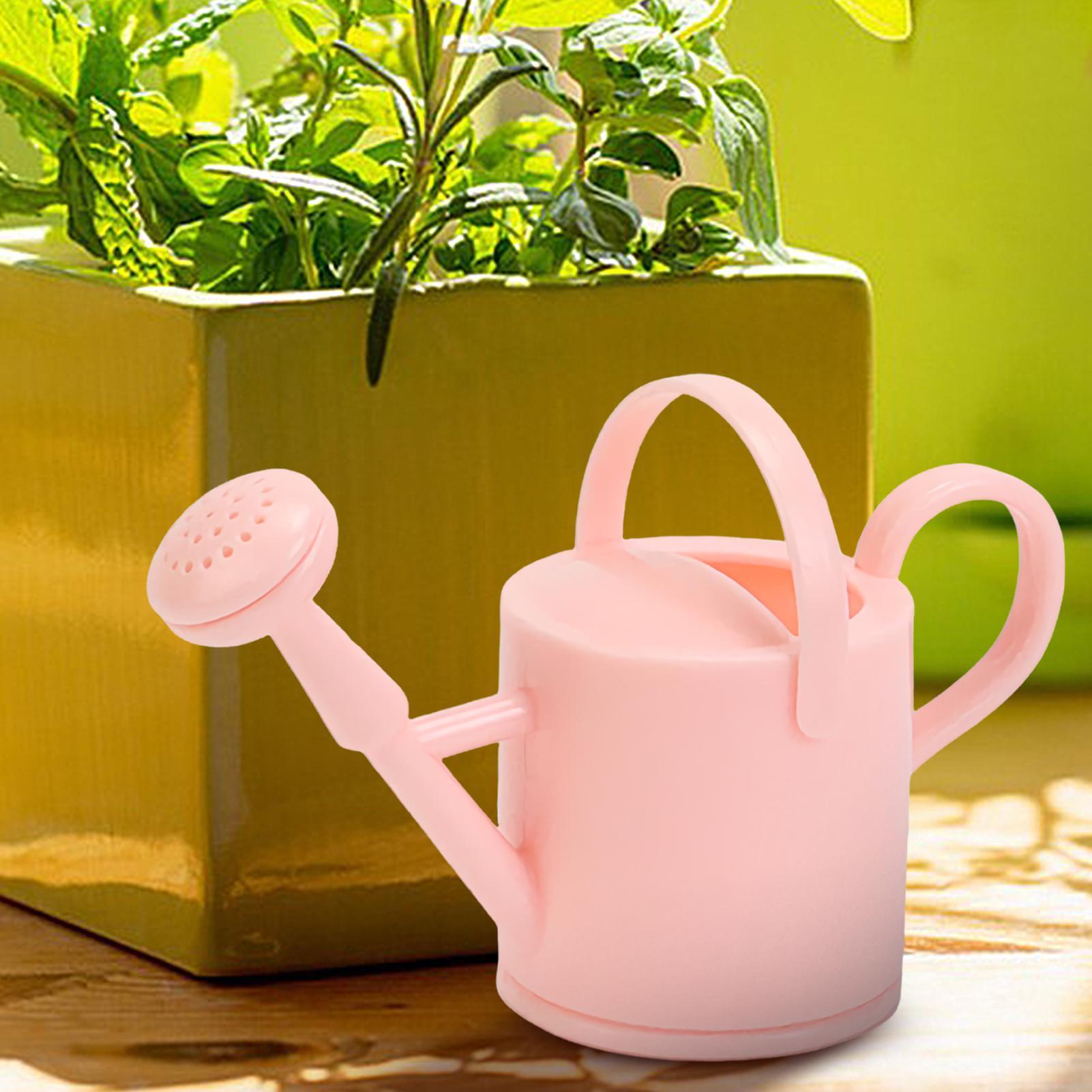 บัวรดน้ำเด็กเล็ก บัวรดน้ำดอกไม - Terracotta Pot บทวิจารณ์และราคา