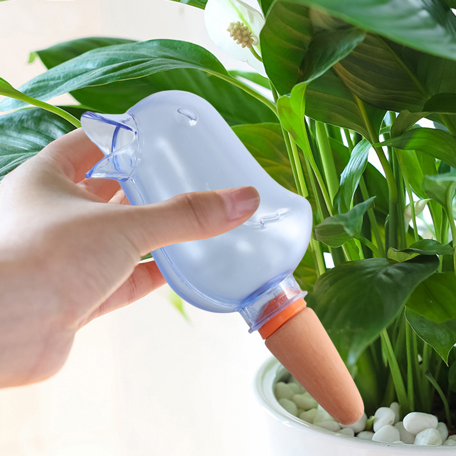 โรงงานอัตโนมัติระบบชลประทานหยด - Pothos บทวิจารณ์และราคา