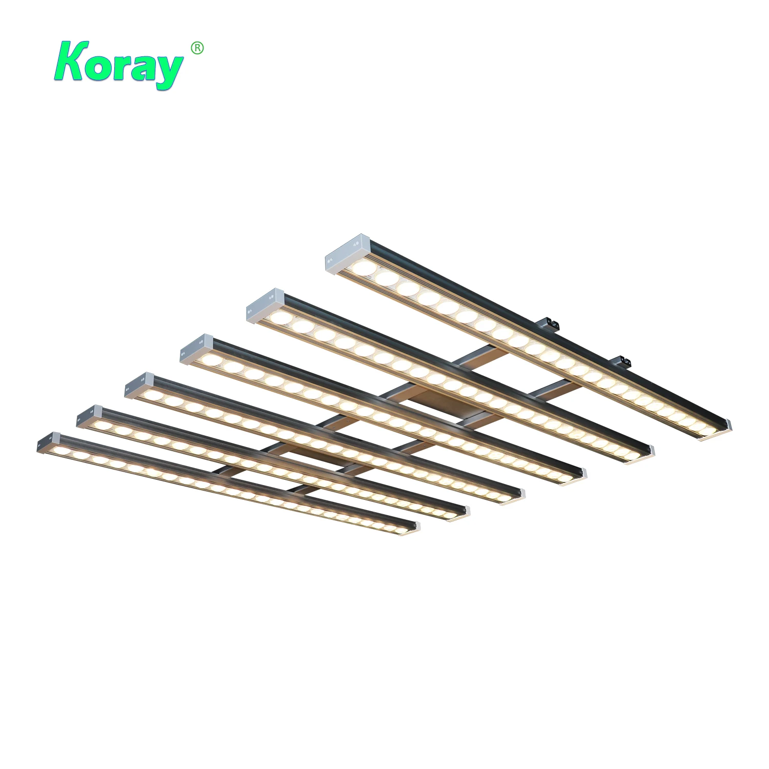 ไฟปลูกต้นไม้ในร่ม Koray 900W แ - Indoor Plants บทวิจารณ์และราคา